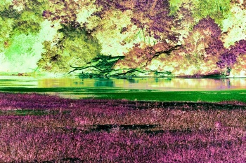 L 040A